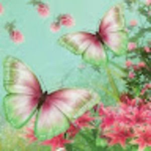 Meet your Posher, Denise